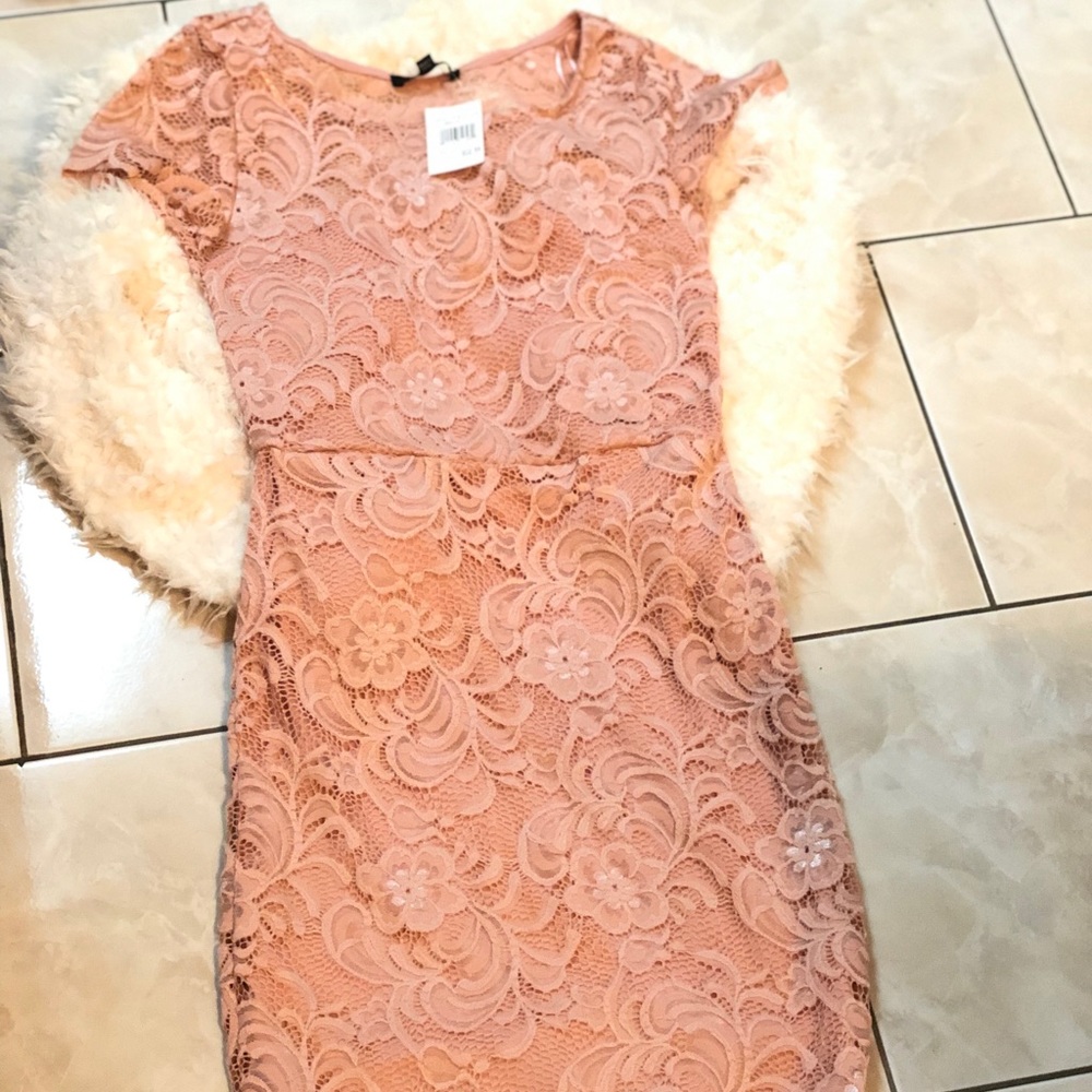 Blush Laced/Crochet Midi Dress - Picture 10 of 12